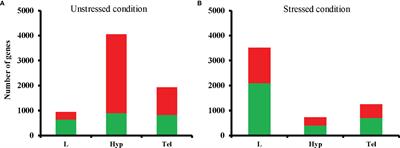 Brief Developmental Exposure to Fluoxetine Causes Life-Long Alteration of the Brain Transcriptome in Zebrafish